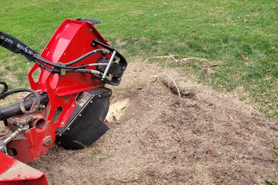 Stumbsliderstump Grinding 2