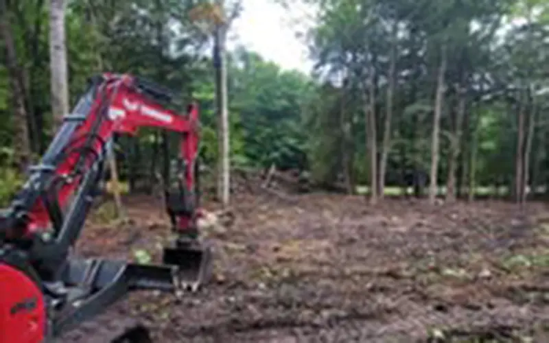 Bvb Property Clearing 1